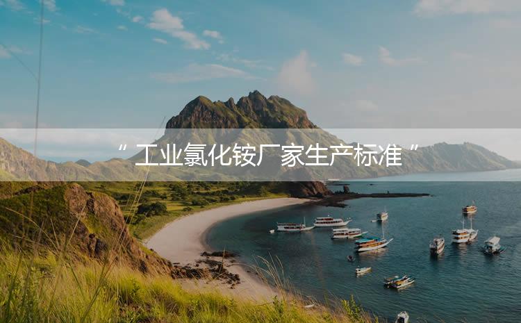 工業氯化銨廠家生產標準，生產過程進行嚴密的監控！